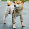 Дождевик - комбинезон для маленьких и средних собак светоотражающий унисекс М Прозрачный