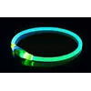 Светящийся LED ошейник для собак двойной универсальный Сине - зеленый