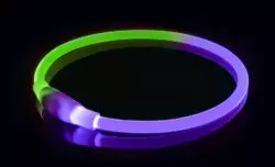 Двухцветный светящийся LED ошейник для собак универсальный с зарядкой Фиолетово - зеленый