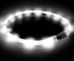 Ошейник для собак светящийся LED водостойкий с зарядкой USB универсальный Белый