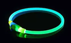 Светящийся LED ошейник для собак двойной универсальный Сине - зеленый